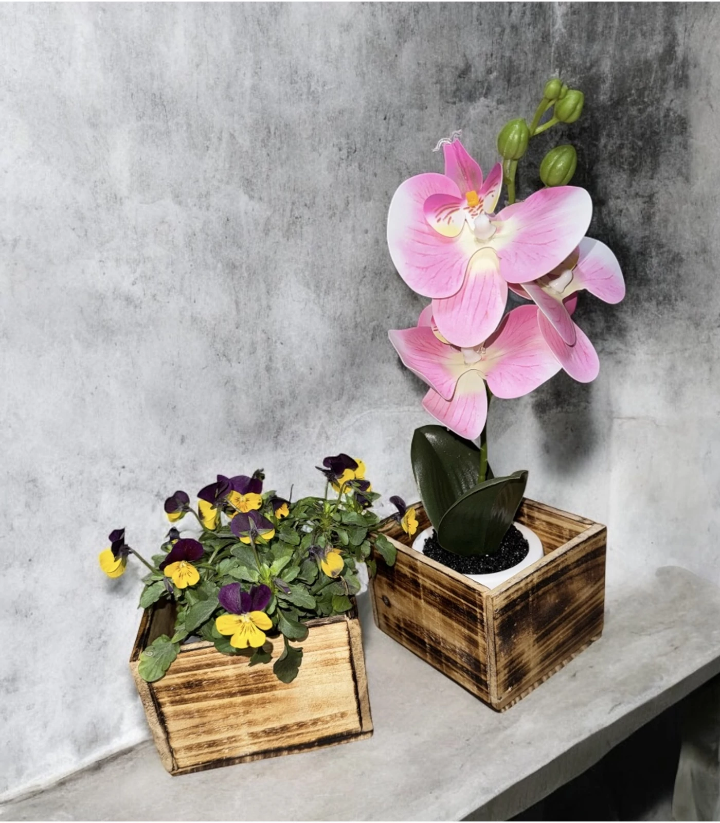 Virág kaspó 10*10*8 cm