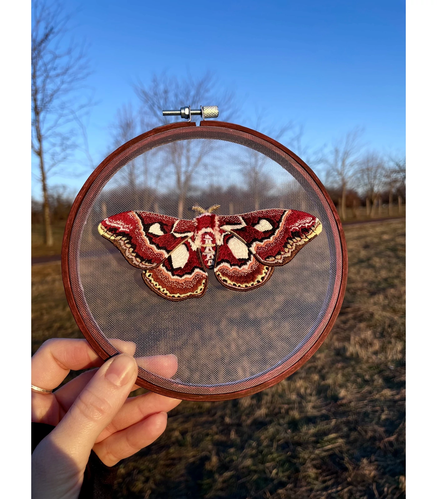 Hímzett térbeli lepke