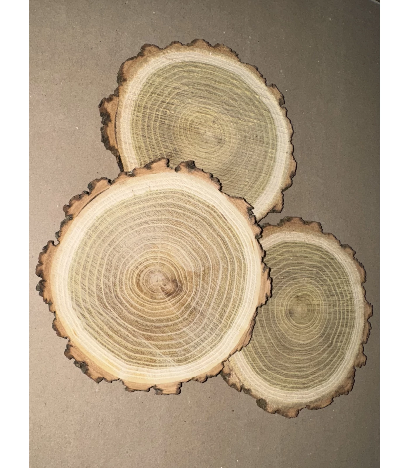 Akácfa korong 18 cm – natúr, csiszolatlan