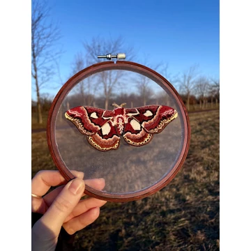 Hímzett térbeli lepke