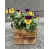 Virág kaspó 10*10*8 cm